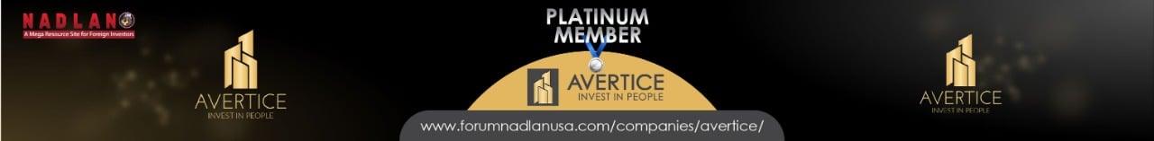 Avertice - Platinum - Google Ads